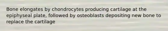 Bone elongates by chondrocytes producing cartilage at the epiphyseal plate, followed by osteoblasts depositing new bone to replace the cartilage