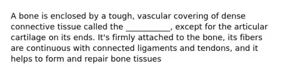 A bone is enclosed by a tough, vascular covering of dense connective tissue called the ___________, except for the articular cartilage on its ends. It's firmly attached to the bone, its fibers are continuous with connected ligaments and tendons, and it helps to form and repair bone tissues