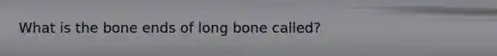 What is the bone ends of long bone called?