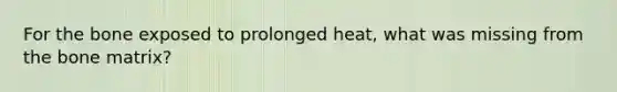 For the bone exposed to prolonged heat, what was missing from the bone matrix?