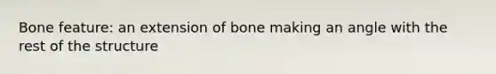 Bone feature: an extension of bone making an angle with the rest of the structure