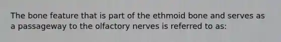 The bone feature that is part of the ethmoid bone and serves as a passageway to the olfactory nerves is referred to as: