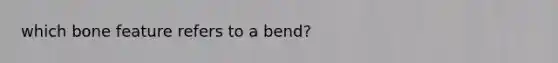 which bone feature refers to a bend?