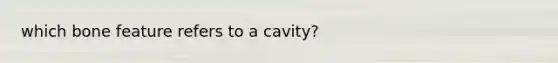 which bone feature refers to a cavity?