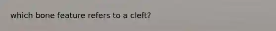 which bone feature refers to a cleft?