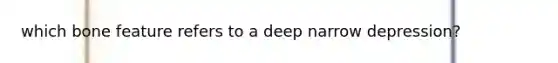 which bone feature refers to a deep narrow depression?