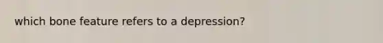 which bone feature refers to a depression?