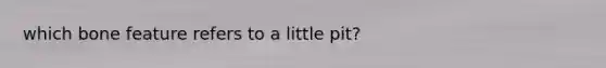 which bone feature refers to a little pit?