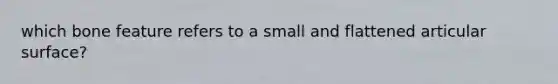 which bone feature refers to a small and flattened articular surface?