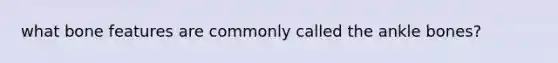 what bone features are commonly called the ankle bones?