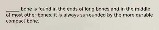 ______ bone is found in the ends of long bones and in the middle of most other bones; it is always surrounded by the more durable compact bone.