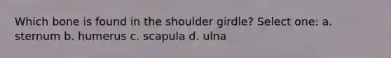 Which bone is found in the shoulder girdle? Select one: a. sternum b. humerus c. scapula d. ulna