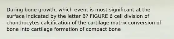 During bone growth, which event is most significant at the surface indicated by the letter B? FIGURE 6 cell division of chondrocytes calcification of the cartilage matrix conversion of bone into cartilage formation of compact bone