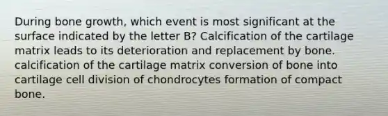 During bone growth, which event is most significant at the surface indicated by the letter B? Calcification of the cartilage matrix leads to its deterioration and replacement by bone. calcification of the cartilage matrix conversion of bone into cartilage cell division of chondrocytes formation of compact bone.