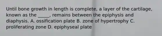 Until bone growth in length is complete, a layer of the cartilage, known as the _____, remains between the epiphysis and diaphysis. A. ossification plate B. zone of hypertrophy C. proliferating zone D. epiphyseal plate