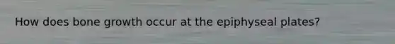 How does bone growth occur at the epiphyseal plates?
