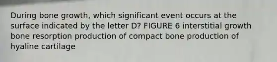 During bone growth, which significant event occurs at the surface indicated by the letter D? FIGURE 6 interstitial growth bone resorption production of compact bone production of hyaline cartilage