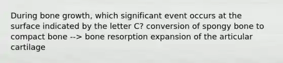 During bone growth, which significant event occurs at the surface indicated by the letter C? conversion of spongy bone to compact bone --> bone resorption expansion of the articular cartilage