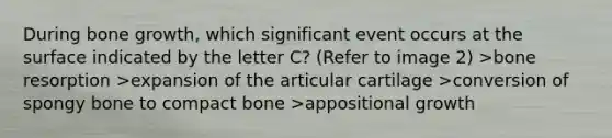 During <a href='https://www.questionai.com/knowledge/ki4t7AlC39-bone-growth' class='anchor-knowledge'>bone growth</a>, which significant event occurs at the surface indicated by the letter C? (Refer to image 2) >bone resorption >expansion of the articular cartilage >conversion of spongy bone to compact bone >appositional growth