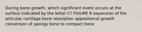 During bone growth, which significant event occurs at the surface indicated by the letter C? FIGURE 6 expansion of the articular cartilage bone resorption appositional growth conversion of spongy bone to compact bone