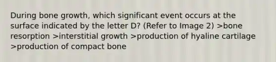 During <a href='https://www.questionai.com/knowledge/ki4t7AlC39-bone-growth' class='anchor-knowledge'>bone growth</a>, which significant event occurs at the surface indicated by the letter D? (Refer to Image 2) >bone resorption >interstitial growth >production of hyaline cartilage >production of compact bone