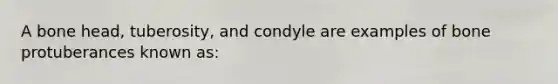 A bone head, tuberosity, and condyle are examples of bone protuberances known as: