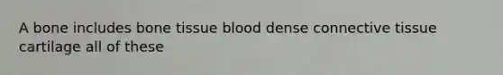 A bone includes bone tissue blood dense connective tissue cartilage all of these