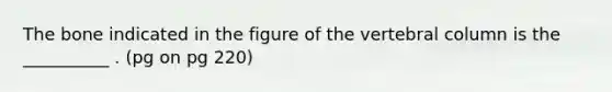 The bone indicated in the figure of the <a href='https://www.questionai.com/knowledge/ki4fsP39zf-vertebral-column' class='anchor-knowledge'>vertebral column</a> is the __________ . (pg on pg 220)