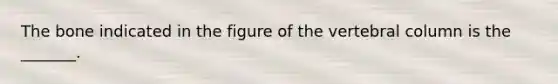 The bone indicated in the figure of the vertebral column is the _______.