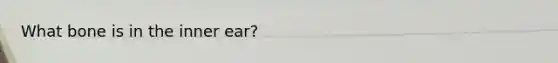 What bone is in the inner ear?