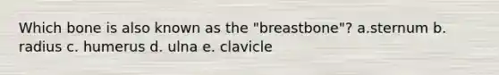 Which bone is also known as the "breastbone"? a.​sternum b. ​radius c. ​humerus d. ​ulna e. clavicle