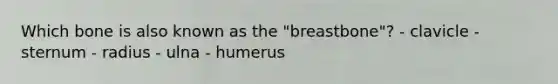 Which bone is also known as the "breastbone"? - clavicle - sternum - radius - ulna - ​humerus