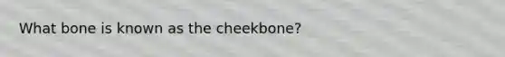 What bone is known as the cheekbone?