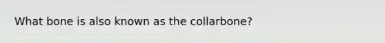 What bone is also known as the collarbone?