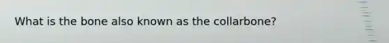 What is the bone also known as the collarbone?