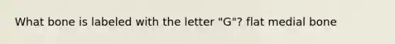 What bone is labeled with the letter "G"? flat medial bone