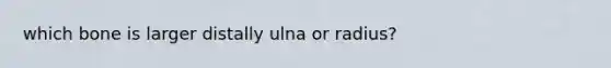 which bone is larger distally ulna or radius?