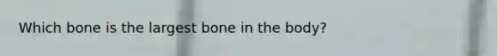 Which bone is the largest bone in the body?