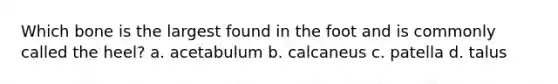 Which bone is the largest found in the foot and is commonly called the heel? a. acetabulum b. calcaneus c. patella d. talus