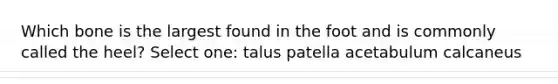 Which bone is the largest found in the foot and is commonly called the heel? Select one: talus patella acetabulum calcaneus