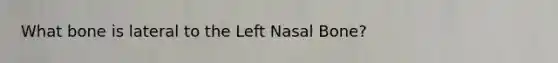 What bone is lateral to the Left Nasal Bone?