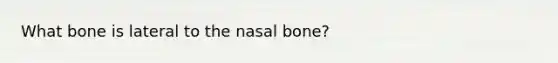 What bone is lateral to the nasal bone?