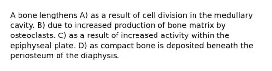 A bone lengthens A) as a result of cell division in the medullary cavity. B) due to increased production of bone matrix by osteoclasts. C) as a result of increased activity within the epiphyseal plate. D) as compact bone is deposited beneath the periosteum of the diaphysis.