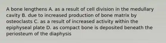 A bone lengthens A. as a result of cell division in the medullary cavity B. due to increased production of bone matrix by osteoclasts C. as a result of increased activity within the epiphyseal plate D. as compact bone is deposited beneath the periosteum of the diaphysis