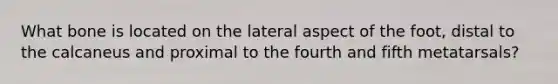 What bone is located on the lateral aspect of the foot, distal to the calcaneus and proximal to the fourth and fifth metatarsals?