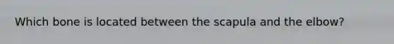 Which bone is located between the scapula and the elbow?
