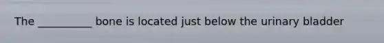 The __________ bone is located just below the urinary bladder
