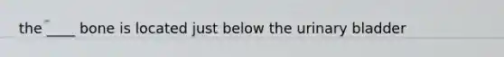 the ____ bone is located just below the urinary bladder