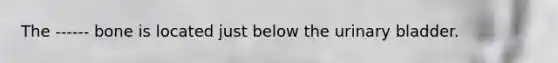 The ------ bone is located just below the urinary bladder.