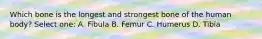 Which bone is the longest and strongest bone of the human body? Select one: A. Fibula B. Femur C. Humerus D. Tibia